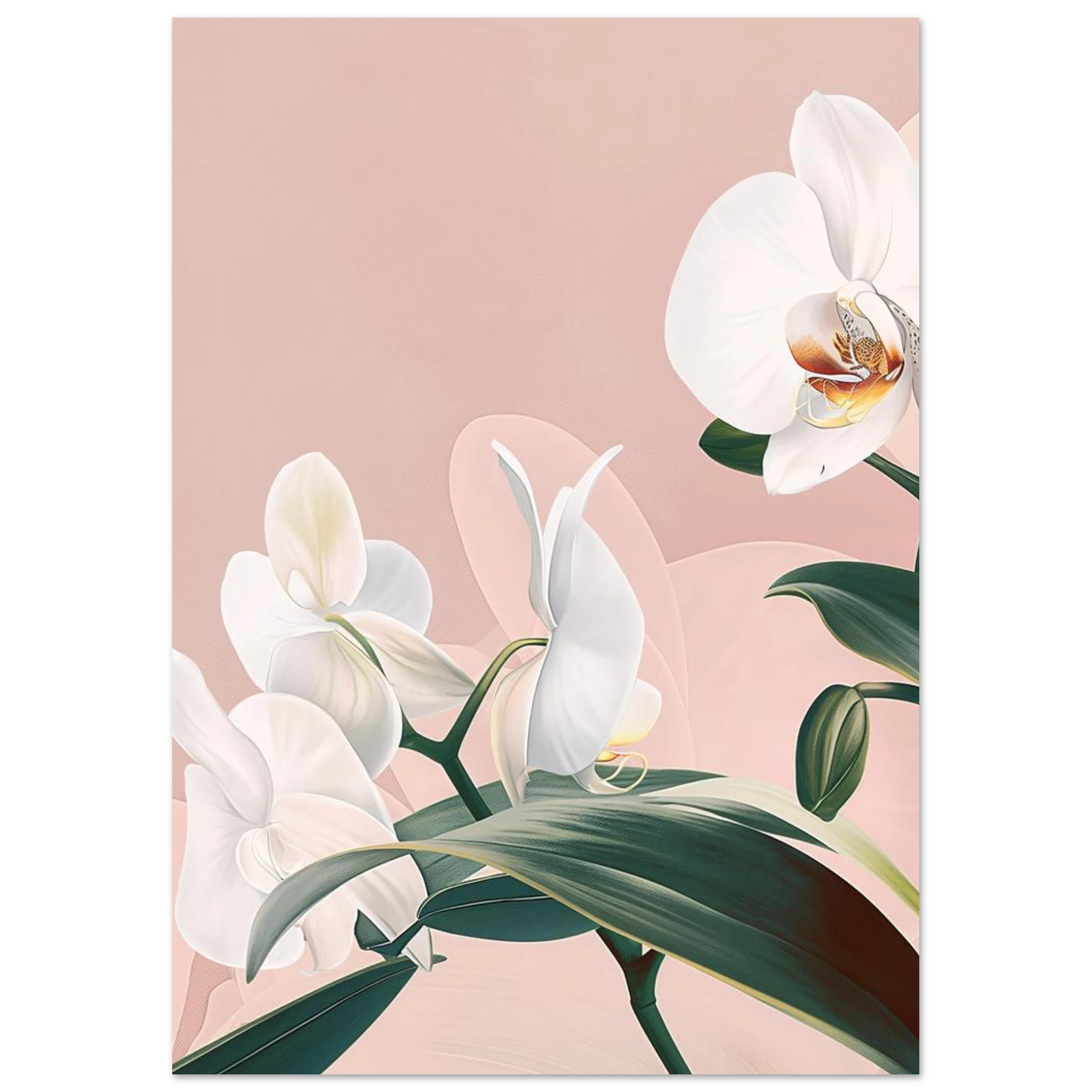 #21 x 29.7 cm