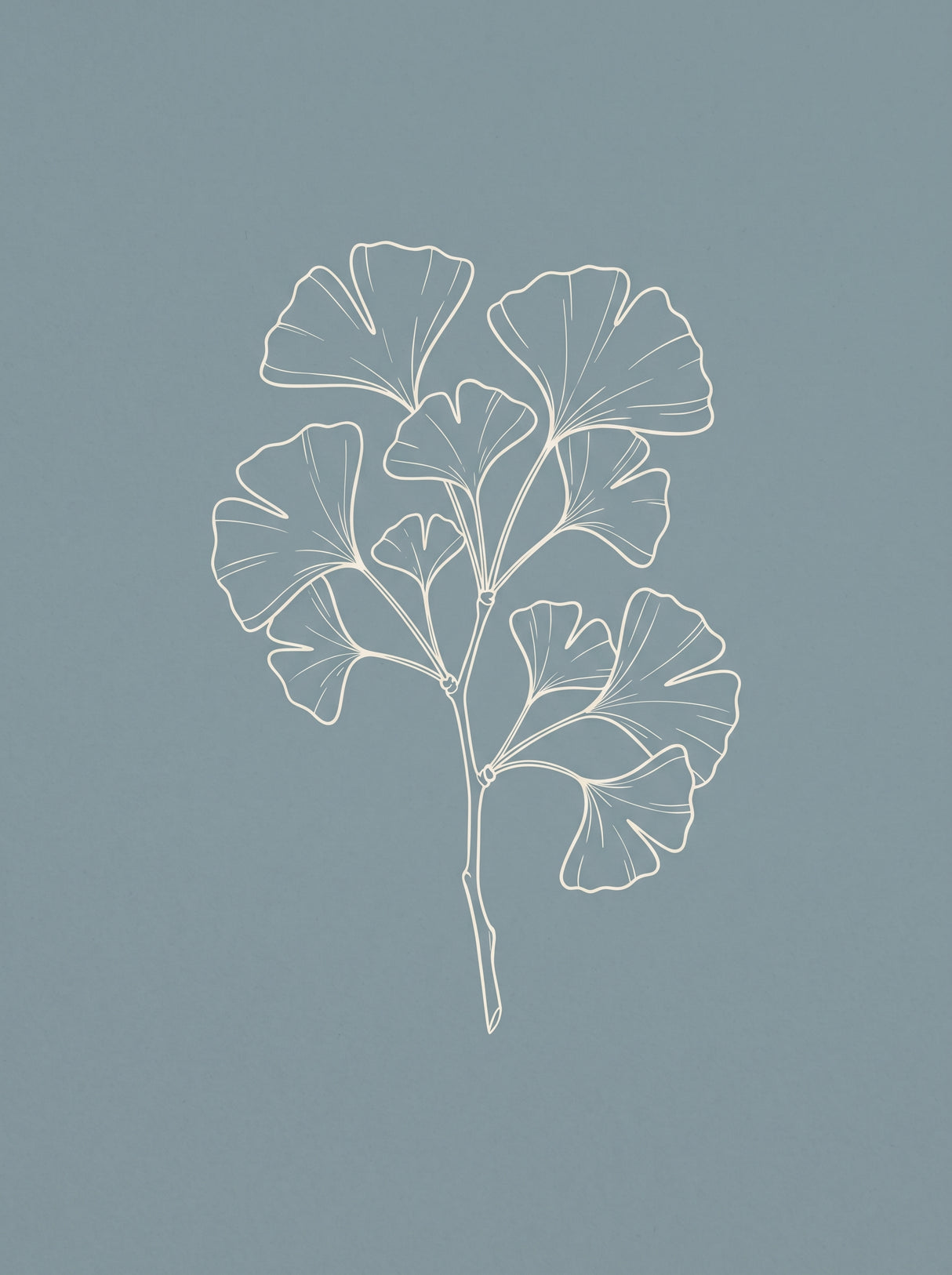 Ginkgogren plakat – botanisk linjekunst i blå