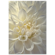 #21 x 29.7 cm