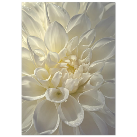 #21 x 29.7 cm