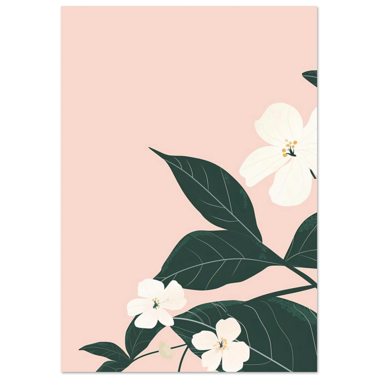#70 x 100 cm