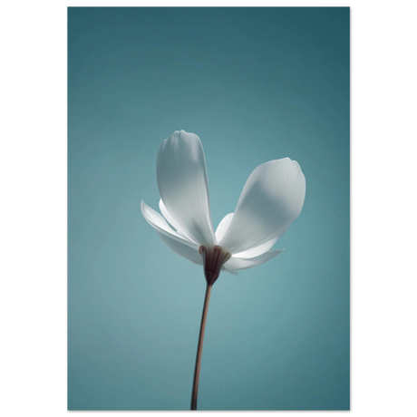 #70 x 100 cm