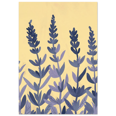 #70 x 100 cm