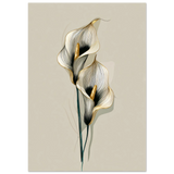 #70 x 100 cm