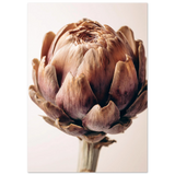#21 x 29.7 cm