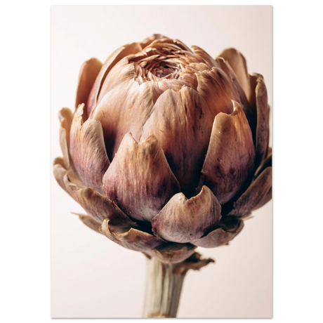 #21 x 29.7 cm