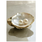 #50 x 70 cm