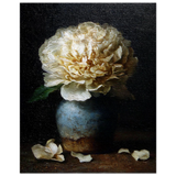 #40 x 50 cm