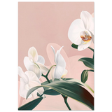 #70 x 100 cm