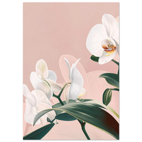 #70 x 100 cm