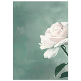 #70 x 100 cm