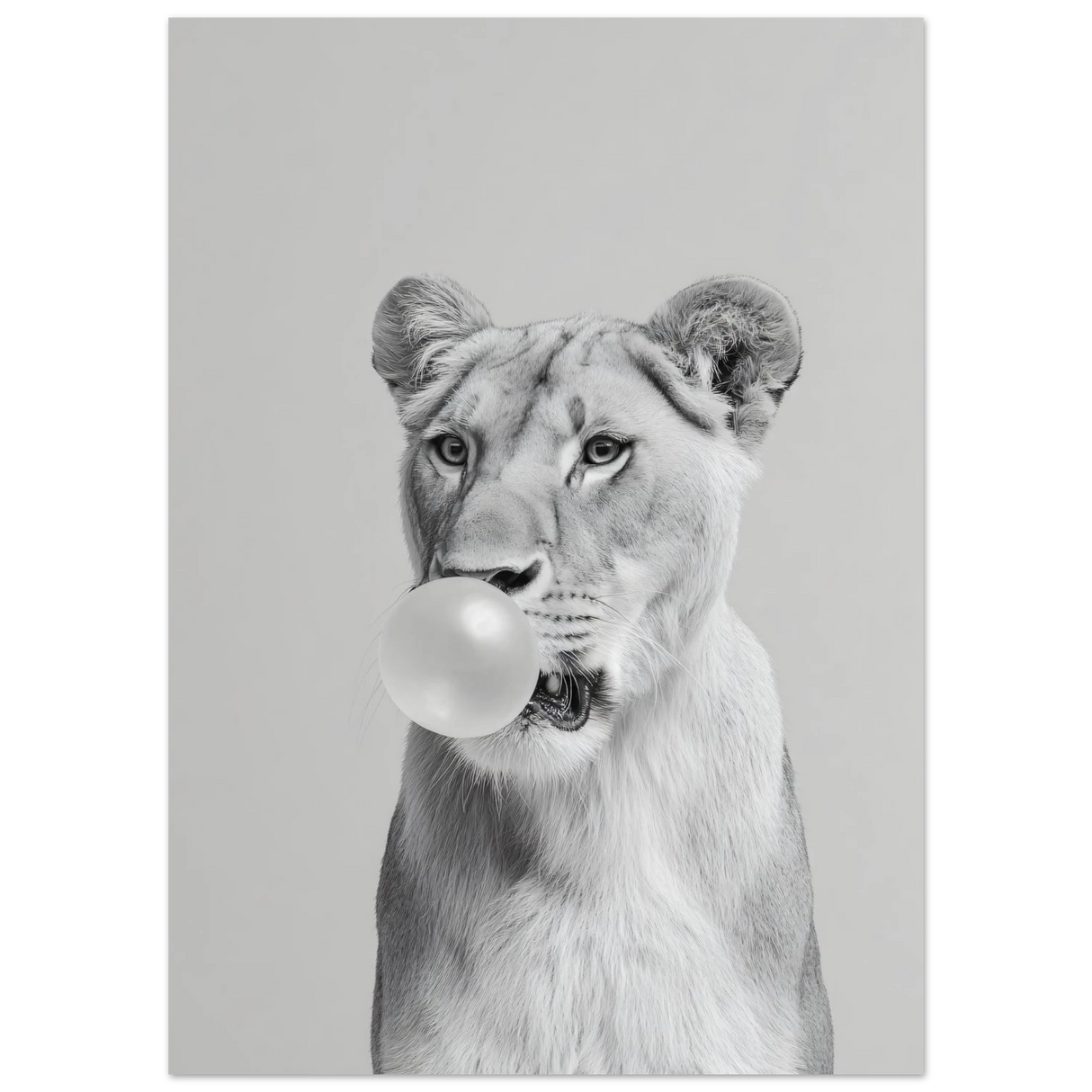 #40 x 50 cm