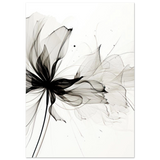 #40 x 50 cm