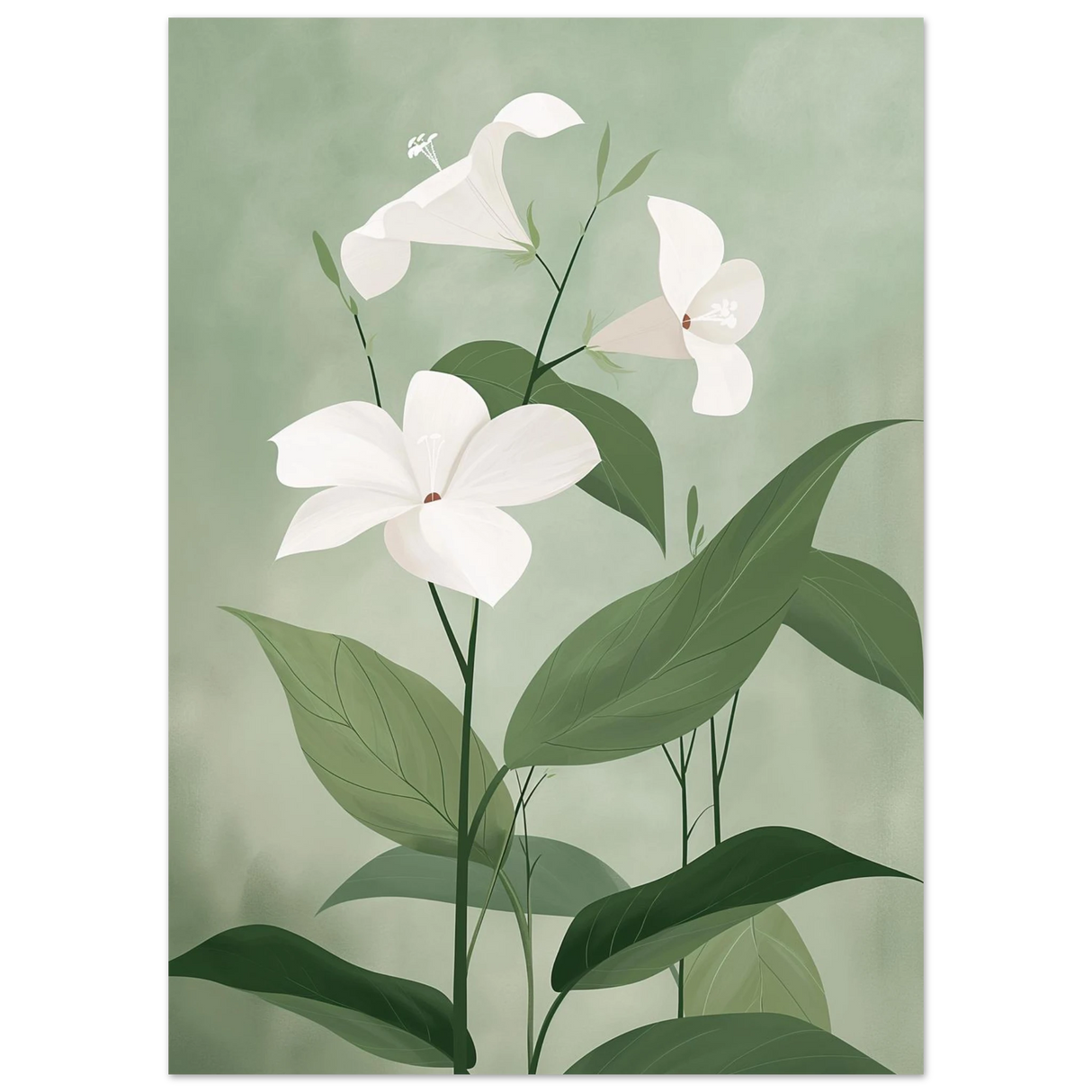 #50 x 70 cm