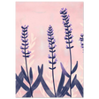 #21 x 29.7 cm