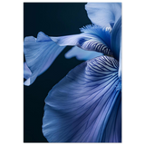 #70 x 100 cm