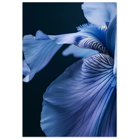 #70 x 100 cm