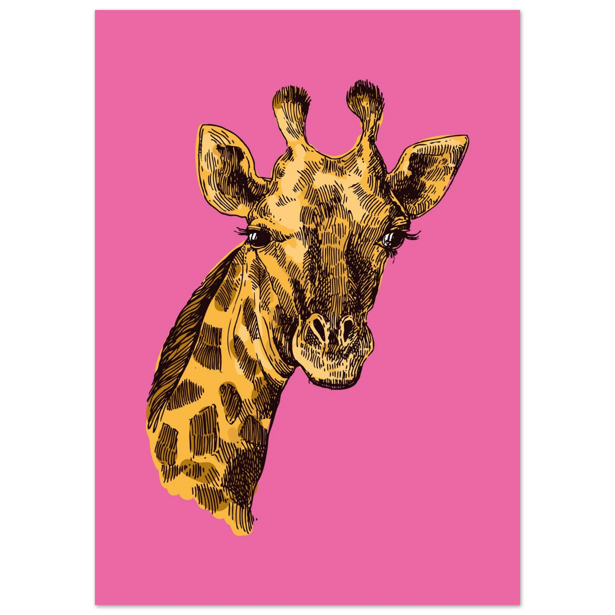 #50 x 70 cm