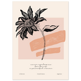 #50 x 70 cm