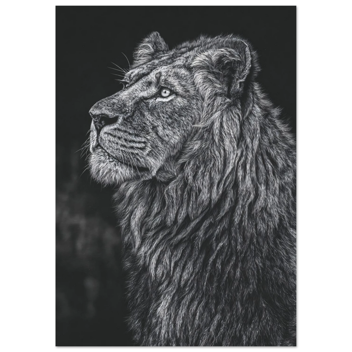 #21 x 29.7 cm