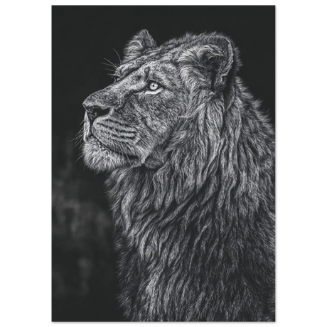 #21 x 29.7 cm