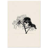 #21 x 29.7 cm
