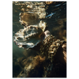 #21 x 29.7 cm