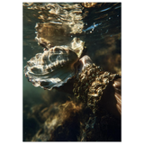 #21 x 29.7 cm