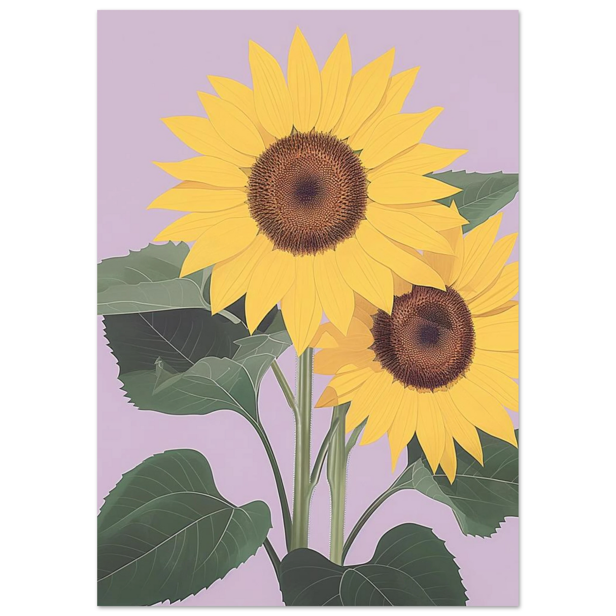 #21 x 29.7 cm