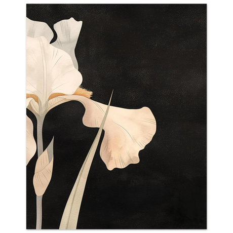 #40 x 50 cm