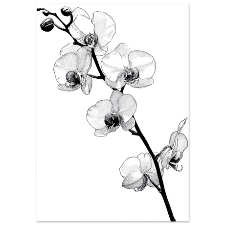 #70 x 100 cm