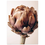#40 x 50 cm