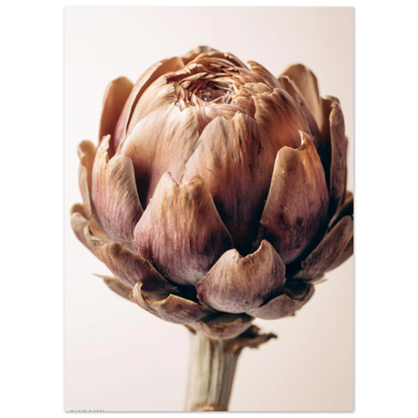 #40 x 50 cm