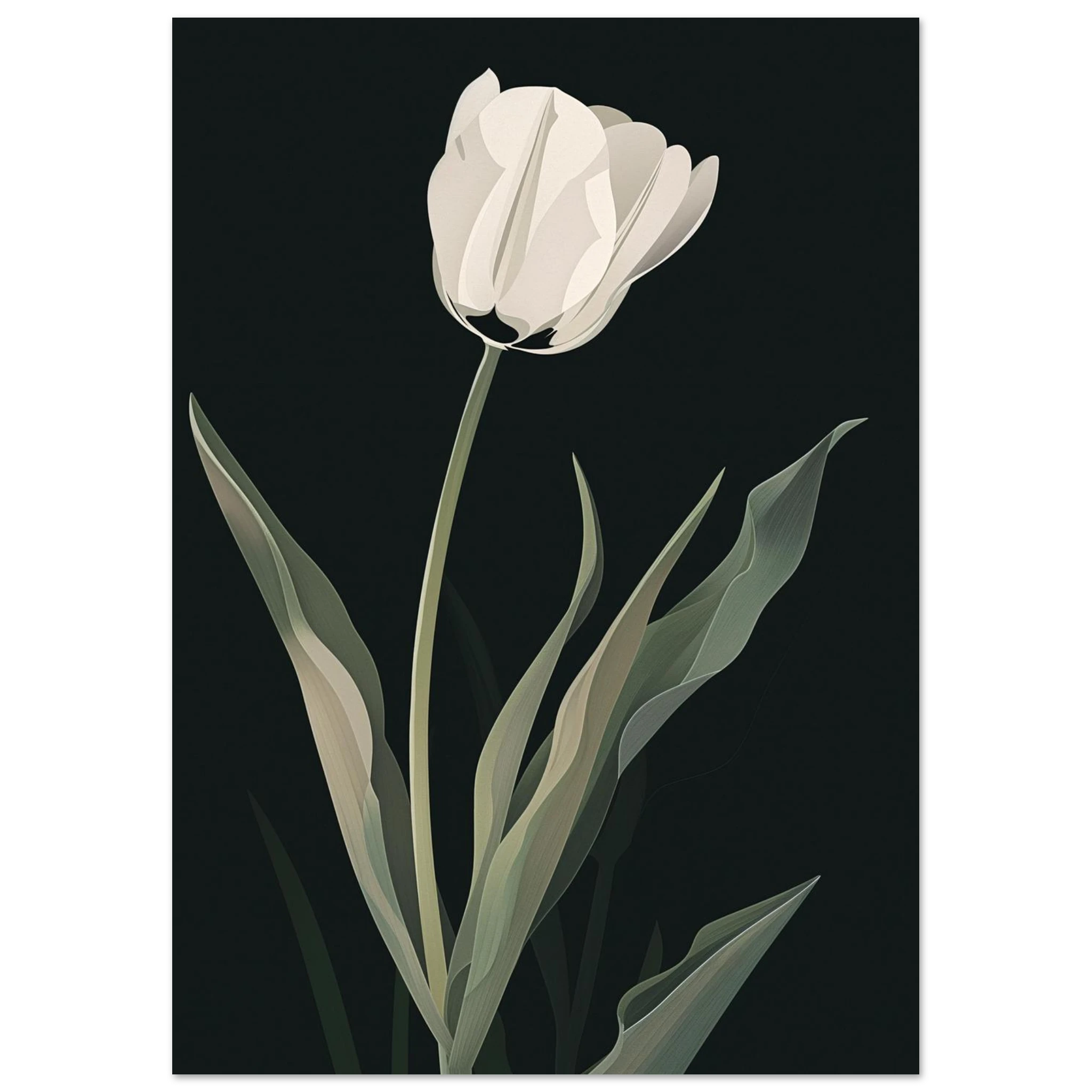 #21 x 29.7 cm