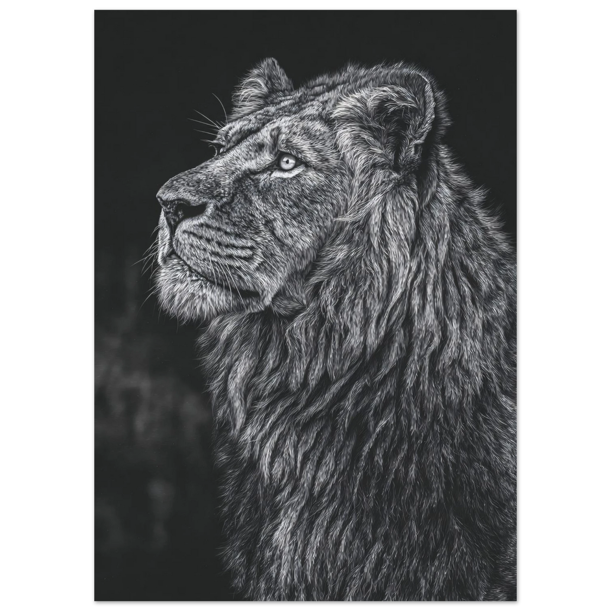 #50 x 70 cm