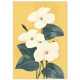 #70 x 100 cm