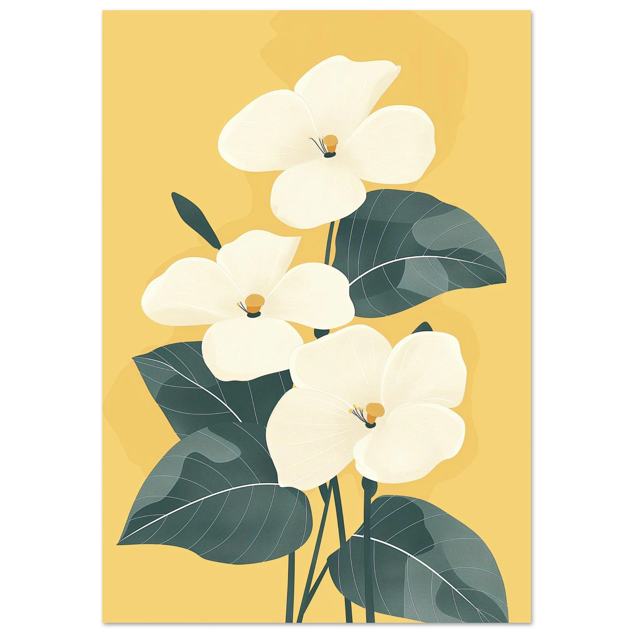 #70 x 100 cm