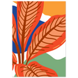 #21 x 29.7 cm