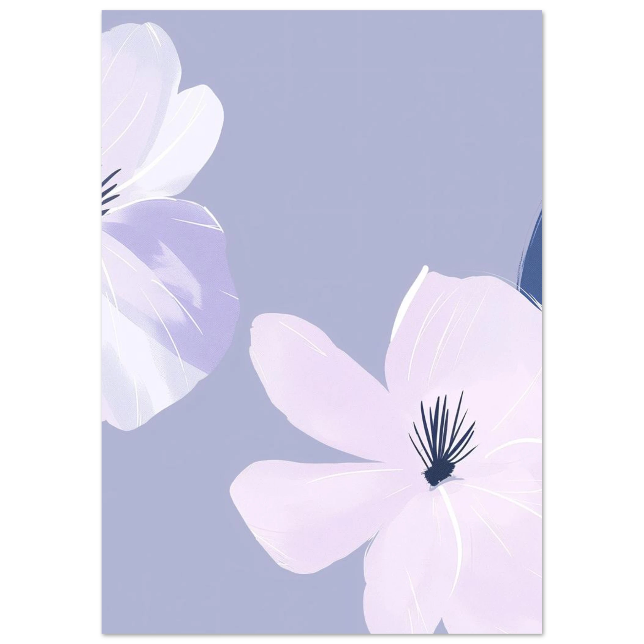 #21 x 29.7 cm