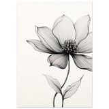 #70 x 100 cm