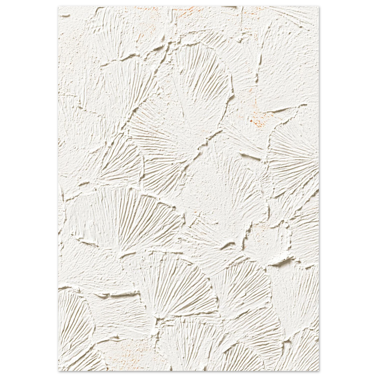 #50 x 70 cm