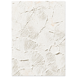 #50 x 70 cm