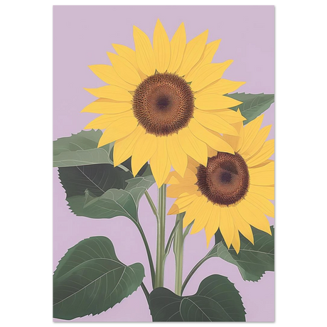 #70 x 100 cm