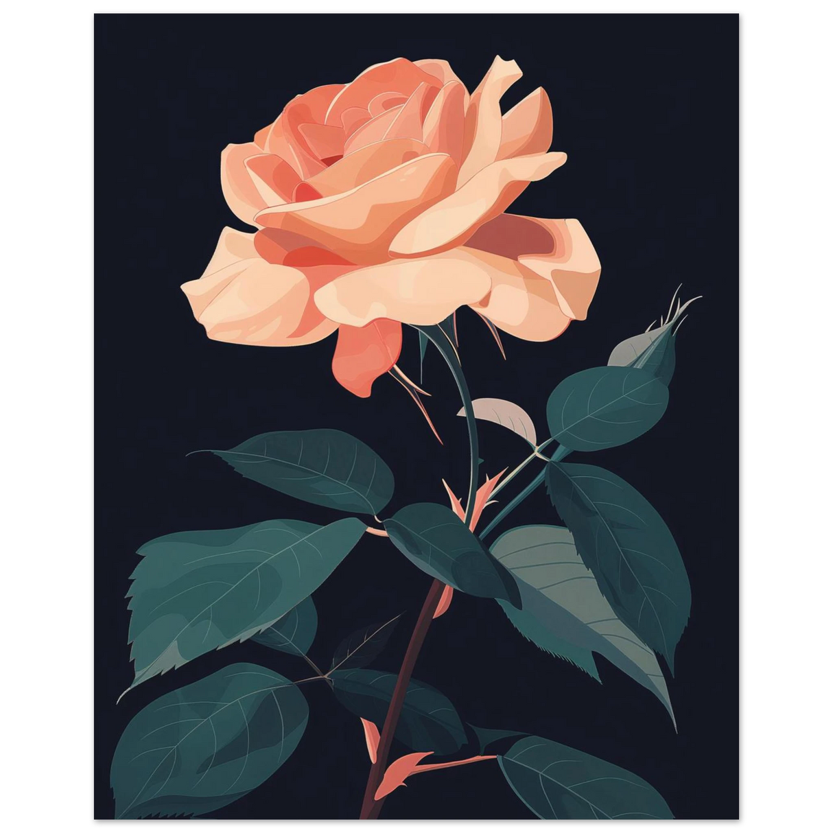 #40 x 50 cm