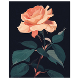 #40 x 50 cm