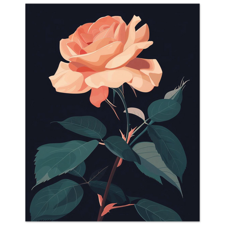 #40 x 50 cm