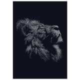 #70 x 100 cm
