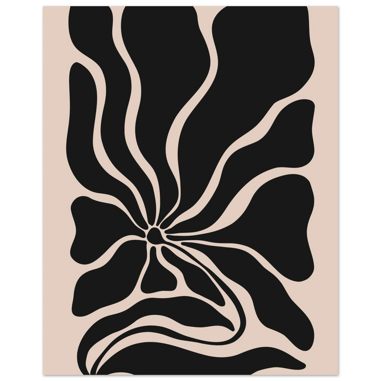 #40 x 50 cm