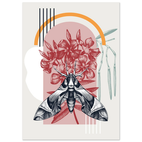 #21 x 29.7 cm