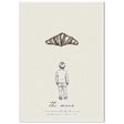 #21 x 29.7 cm